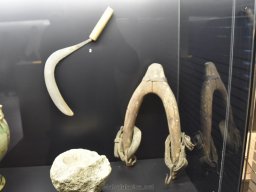 Ciudad de Elche 2022